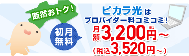 断然おトク！ピカラ光はプロバイダー料コミコミ！初月無料 月額3,200円〜