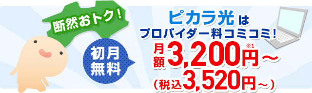 断然おトク!ピカラ光はプロバイダー料コミコミ!初月無料 月額3,200円〜