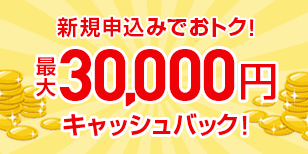 新規お申し込みでおトク！最大30,000円キャッシュバック！