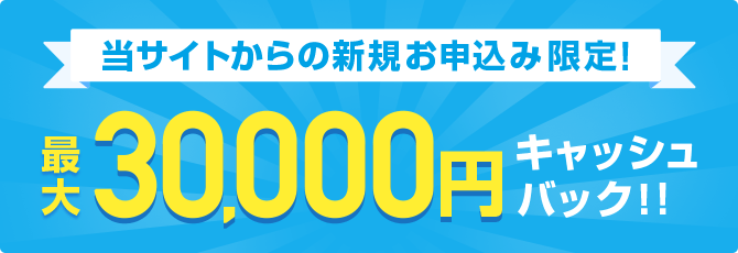 最大3万円キャッシュバック