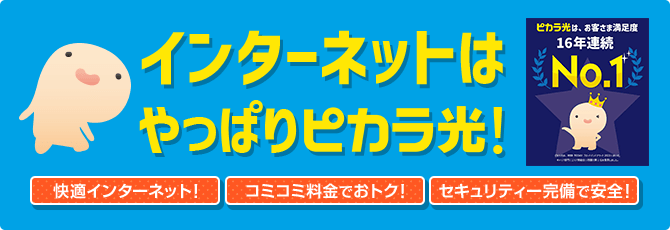 インターネットはやっぱりピカラ！ピカラ光は、お客様満足度16年連続No.1