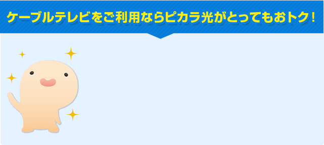 ピカラ光てれび 四国限定インターネット光回線 ピカラ光 Pikara