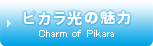 pikaraの魅力