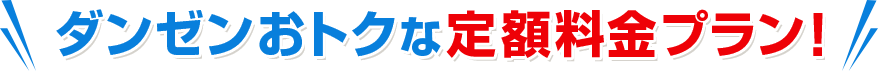 断然おトクな定額料金プラン