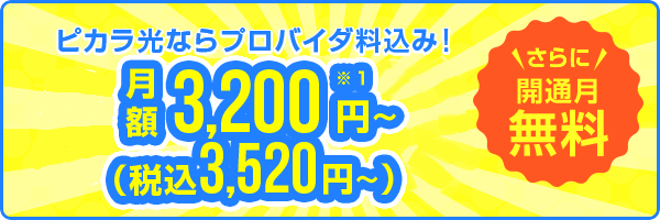 ピカラ光ならプロバイダ料込み！月額3,200円！(税抜き)