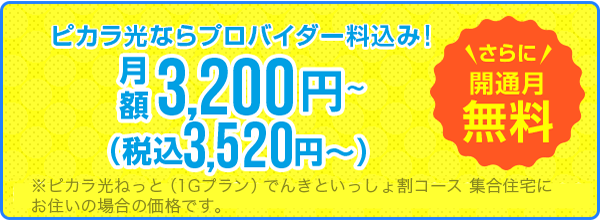 ピカラ光ならプロバイダ料込み！月額3,200円〜（税抜）