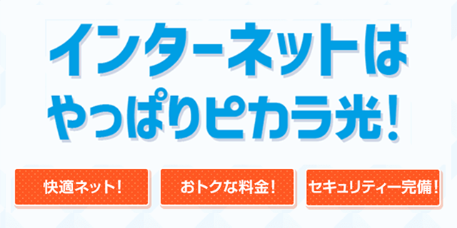 インターネットはやっぱりピカラ光！