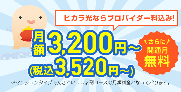 ピカラ光ならプロバイダ料込み！月額3,280円~(税抜)