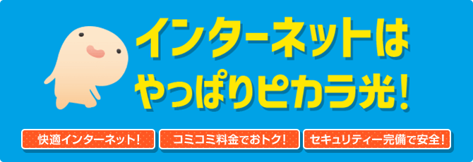 インターネットはやっぱりピカラ光!