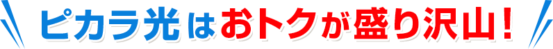おトクな特典盛り沢山!